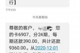 小河要账公司更多成功案例详情